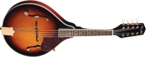 Fender FM-53 S mandolína