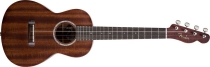 Fender ukulele Pa´ina w/Electronics