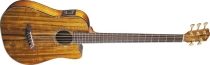 Fender Victor Bailey Signature V Acoustic-Electric Bass
