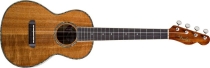 Fender ukulele Nohea