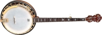 Fender FB-59 banjo