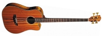 Fender Victor Bailey Signature Acoustic-Electric Bass