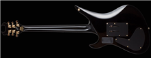schecter_synyster-9